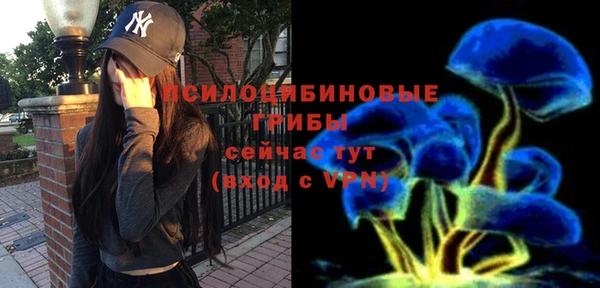 первитин Балахна