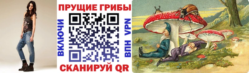 Псилоцибиновые грибы GOLDEN TEACHER  Купить  Курчалой 